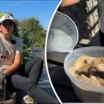 Metoda simplă a bunicului: un grădinar a spus cum să