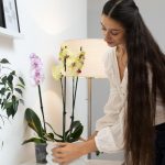 Un ghiveci de magazin face doar rău: cum să transplantezi